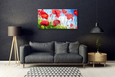 Plexiglas® Wall Art Poppy grass nature red green