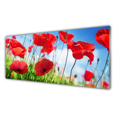 Plexiglas® Wall Art Poppy grass nature red green