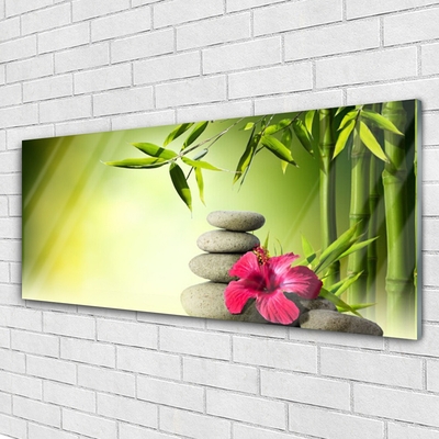 Plexiglas® Wall Art Bamboo tube flower stones floral green red grey