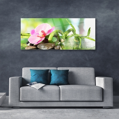 Plexiglas® Wall Art Bamboo stalk flower stones nature green pink grey