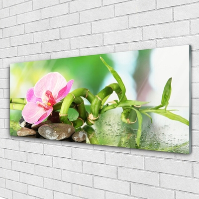 Plexiglas® Wall Art Bamboo stalk flower stones nature green pink grey