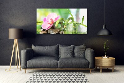 Plexiglas® Wall Art Bamboo stalk flower stones nature green pink grey