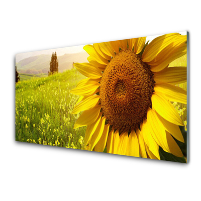 Plexiglas® Wall Art Sunflower floral yellow brown