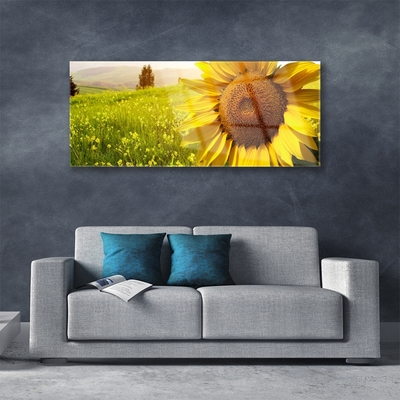 Plexiglas® Wall Art Sunflower floral yellow brown