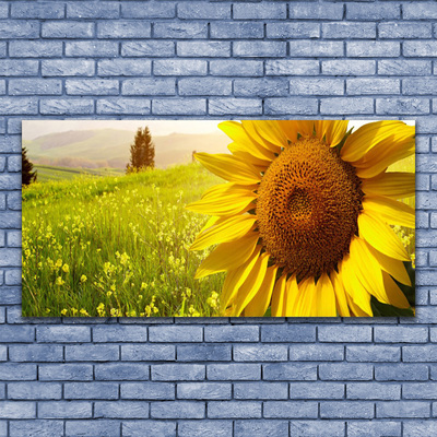 Plexiglas® Wall Art Sunflower floral yellow brown