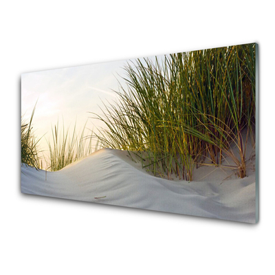 Plexiglas® Wall Art Sand grass landscape grey green