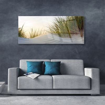 Plexiglas® Wall Art Sand grass landscape grey green