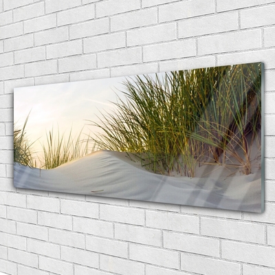 Plexiglas® Wall Art Sand grass landscape grey green