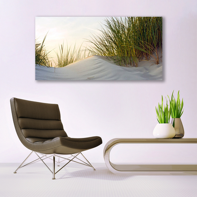 Plexiglas® Wall Art Sand grass landscape grey green