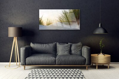 Plexiglas® Wall Art Sand grass landscape grey green