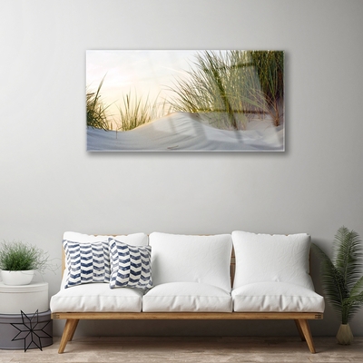 Plexiglas® Wall Art Sand grass landscape grey green