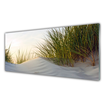 Plexiglas® Wall Art Sand grass landscape grey green