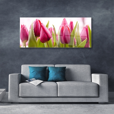 Plexiglas® Wall Art Tulips floral red