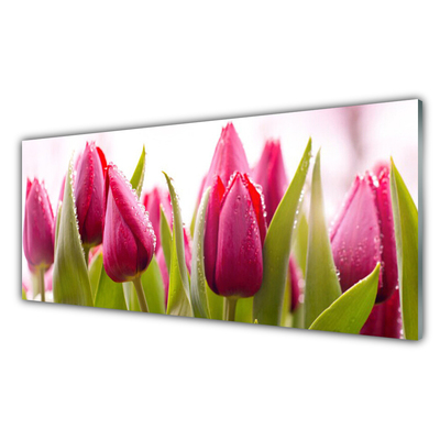 Plexiglas® Wall Art Tulips floral red