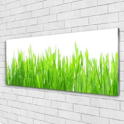 Plexiglas® Wall Art Grass nature green