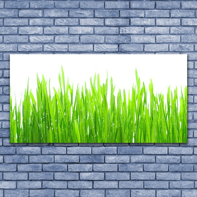 Plexiglas® Wall Art Grass nature green