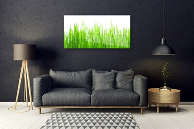 Plexiglas® Wall Art Grass nature green