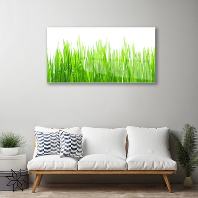 Plexiglas® Wall Art Grass nature green