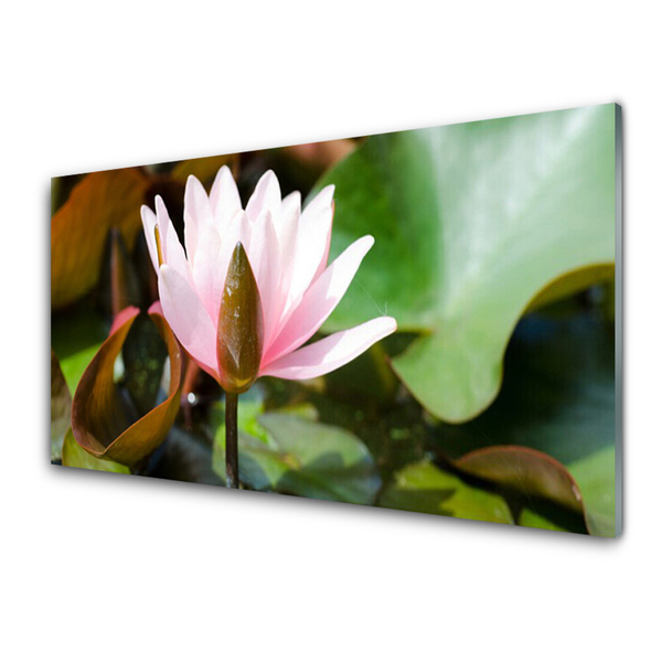 Plexiglas® Wall Art Flower floral pink