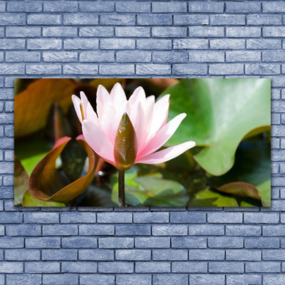 Plexiglas® Wall Art Flower floral pink