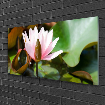 Plexiglas® Wall Art Flower floral pink