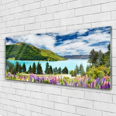 Plexiglas® Wall Art Mountain forest lake meadow landscape green blue purple pink