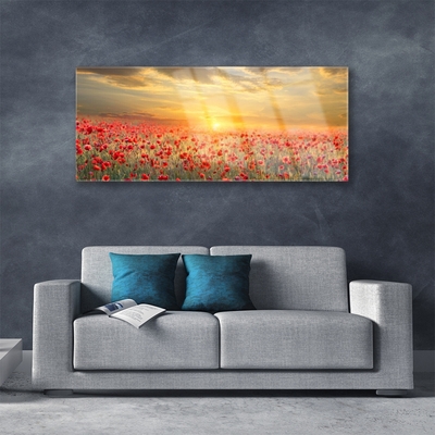 Plexiglas® Wall Art Sun meadow poppy flowers nature yellow red green