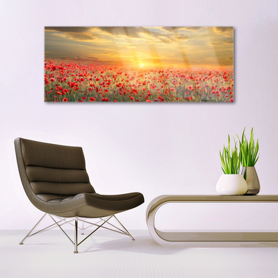 Plexiglas® Wall Art Sun meadow poppy flowers nature yellow red green