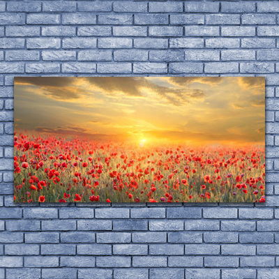 Plexiglas® Wall Art Sun meadow poppy flowers nature yellow red green