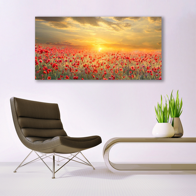 Plexiglas® Wall Art Sun meadow poppy flowers nature yellow red green