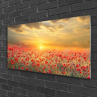 Plexiglas® Wall Art Sun meadow poppy flowers nature yellow red green