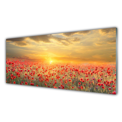 Plexiglas® Wall Art Sun meadow poppy flowers nature yellow red green