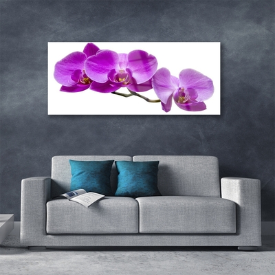 Plexiglas® Wall Art Flowers floral pink