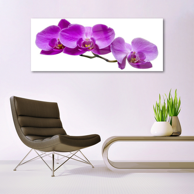 Plexiglas® Wall Art Flowers floral pink