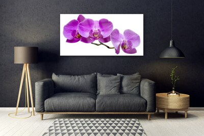 Plexiglas® Wall Art Flowers floral pink