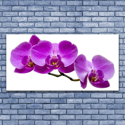 Plexiglas® Wall Art Flowers floral pink