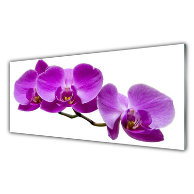 Plexiglas® Wall Art Flowers floral pink