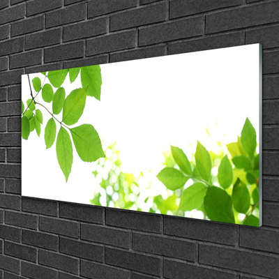 Plexiglas® Wall Art Petals floral white green
