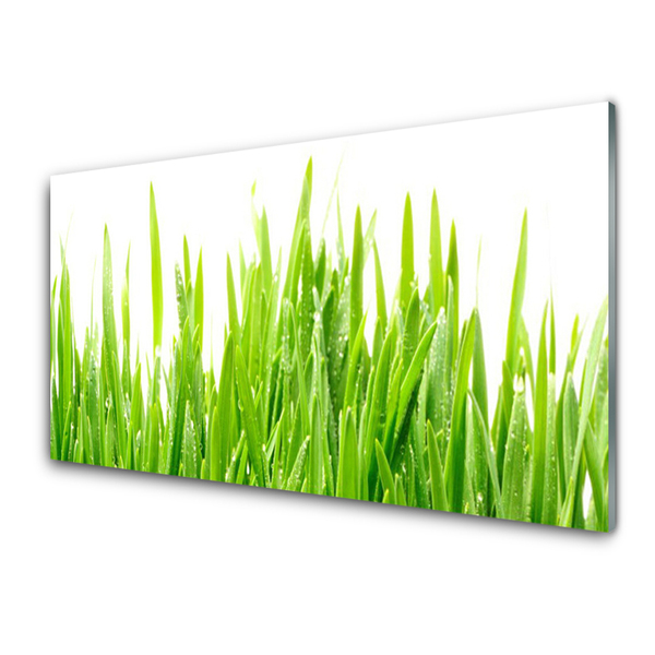 Plexiglas® Wall Art Grass nature green