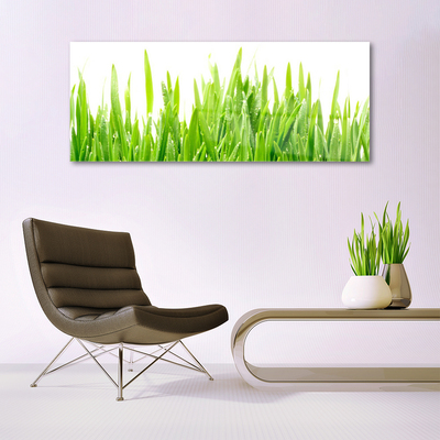 Plexiglas® Wall Art Grass nature green