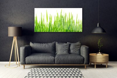 Plexiglas® Wall Art Grass nature green