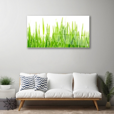 Plexiglas® Wall Art Grass nature green