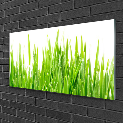 Plexiglas® Wall Art Grass nature green