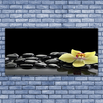 Plexiglas® Wall Art Flower stones kitchen yellow black