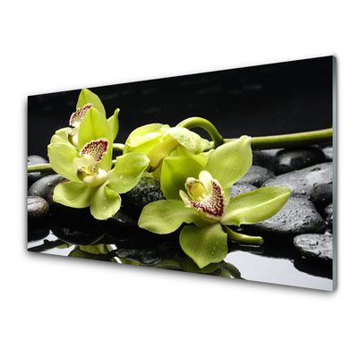 Plexiglas® Wall Art Flower stones floral green black