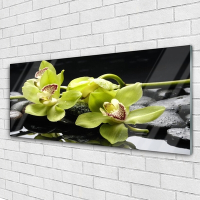 Plexiglas® Wall Art Flower stones floral green black