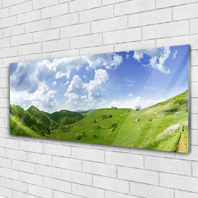 Plexiglas® Wall Art Mountain meadow nature green