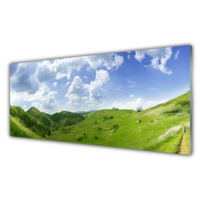 Plexiglas® Wall Art Mountain meadow nature green
