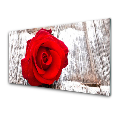 Plexiglas® Wall Art Rose floral red