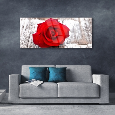 Plexiglas® Wall Art Rose floral red